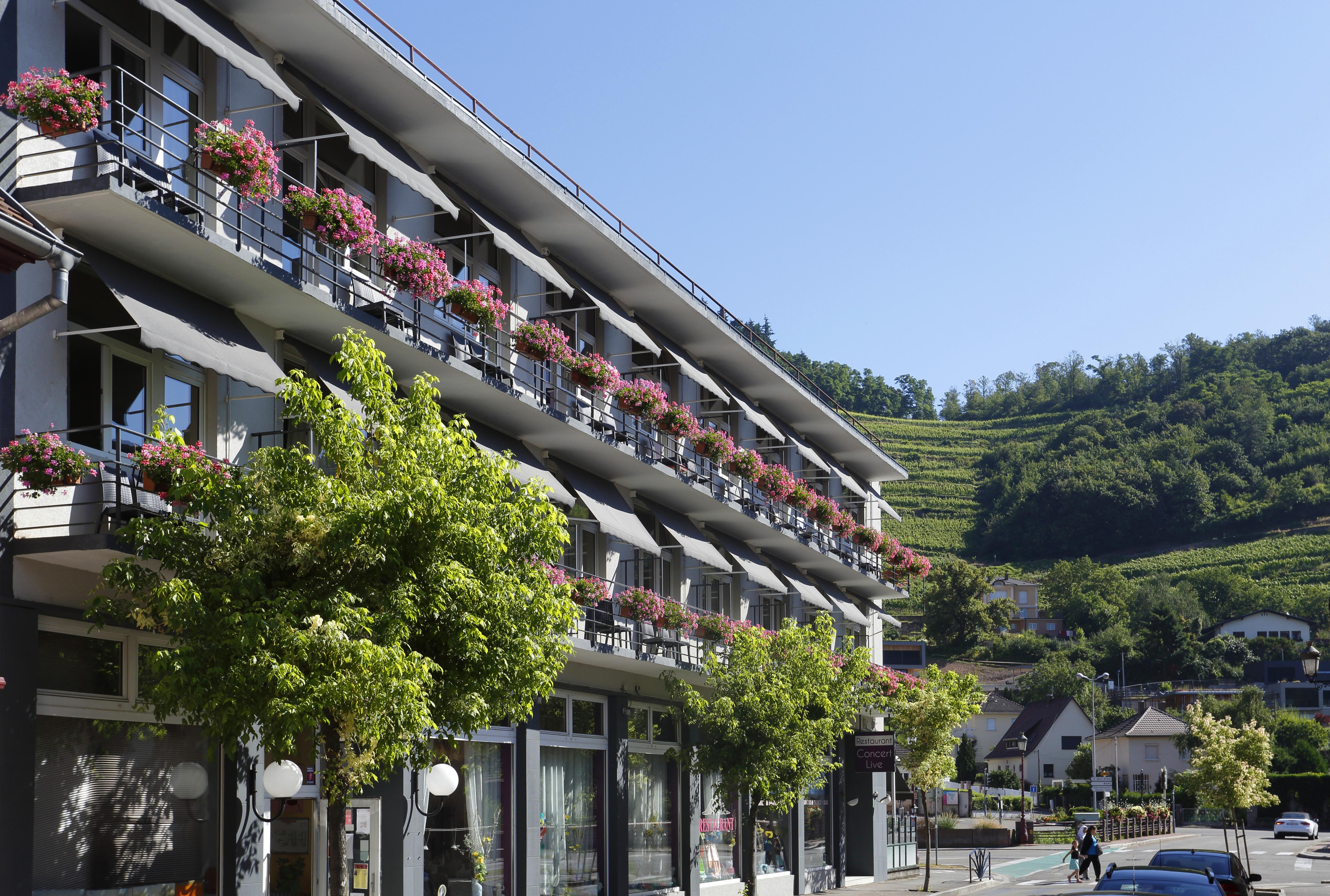 The Originals City Hotel De L Ange กีบวิลเลอร์ ภายนอก รูปภาพ